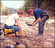 Panning for Gold